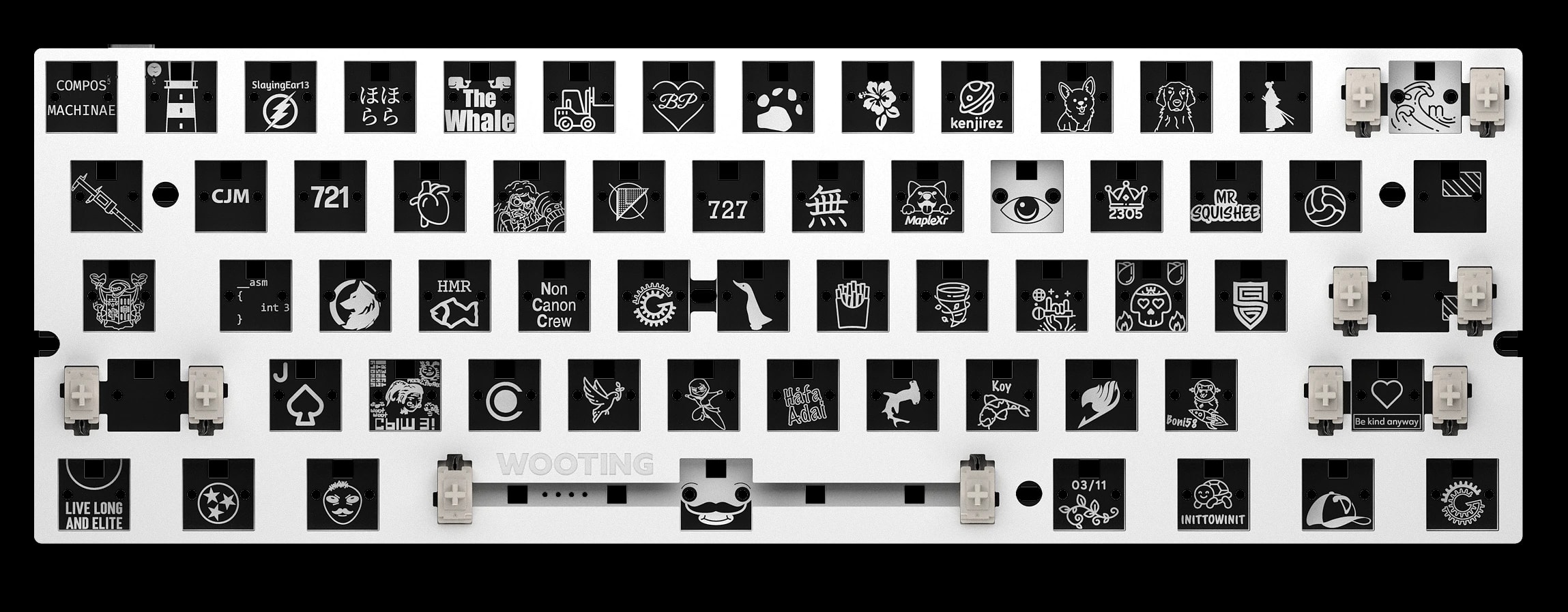 Wooting 60HE+ Module Hero Image